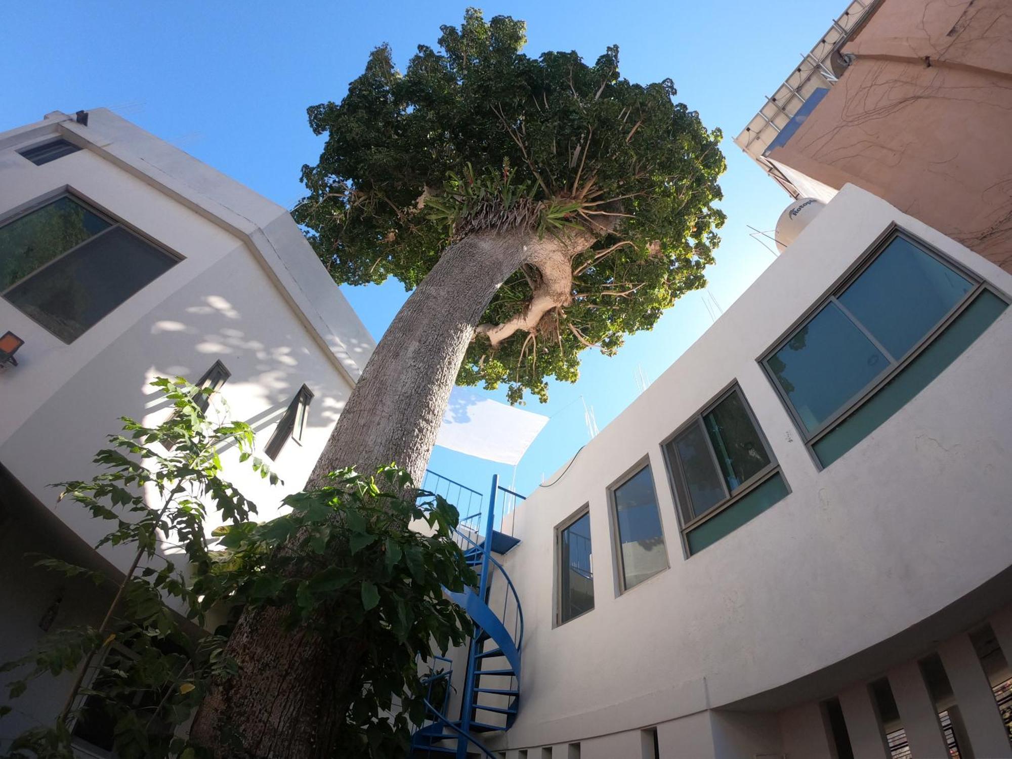 Casa Arbol De Paz Habitacion Doble Chacala  Exterior photo
